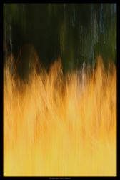 IMG_1644-web