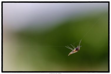 DSCF3022-web