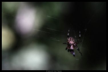 DSCF4434-web