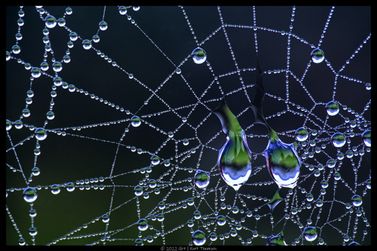DSCF5644-web