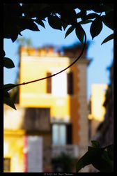 IMG_4839-web