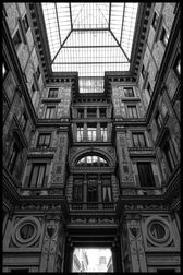 IMG_4885-web