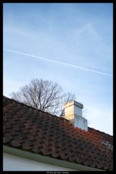 DSCF7232-web