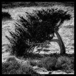 DSCF1044-v1-sq-bw-b