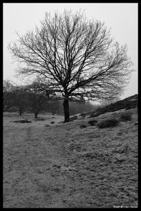 DSCF8414-v1-web