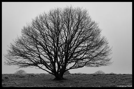 DSCF8422-v1-web