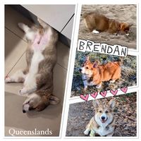 Brendan - reu