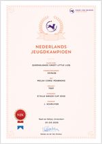 NJK diploma