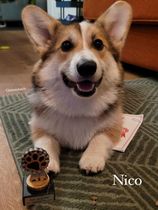 Nico