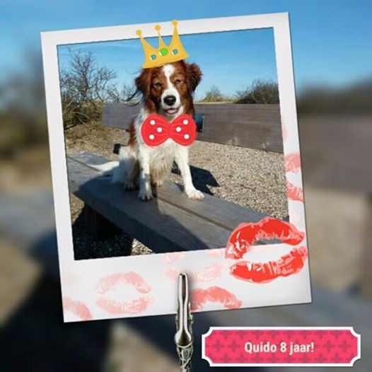 Deze lieve gevoelige en knappe vent is vandaag alweer 8 jaar geworden!
