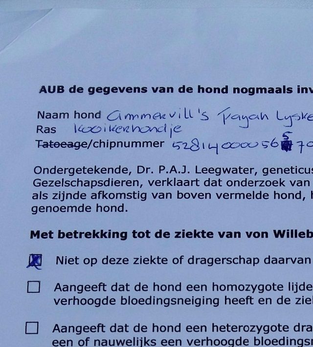 Fayah is vrij van de ziekte van Willebrand (bloedstollingziekte) en ENM (kooikerverlamming)