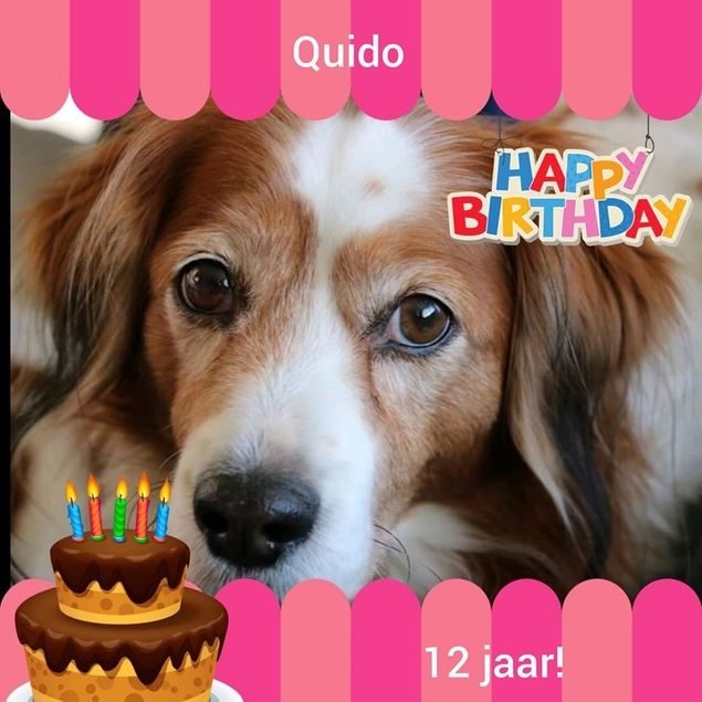 Mijn mooie lieve mannetje alweer een jaartje erbij op 27 februari!