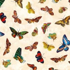 Butterfly Orchard