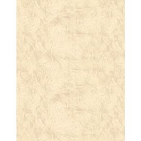 Feather beige