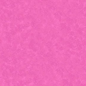 Spraytime Fuchsia