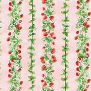 Strawberry Season rosa