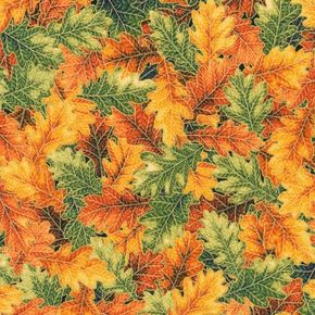 Sweet Pumpkin
