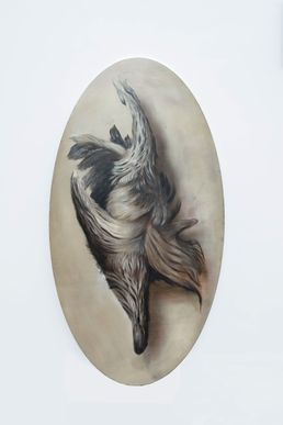 quinten-ingelaere-2