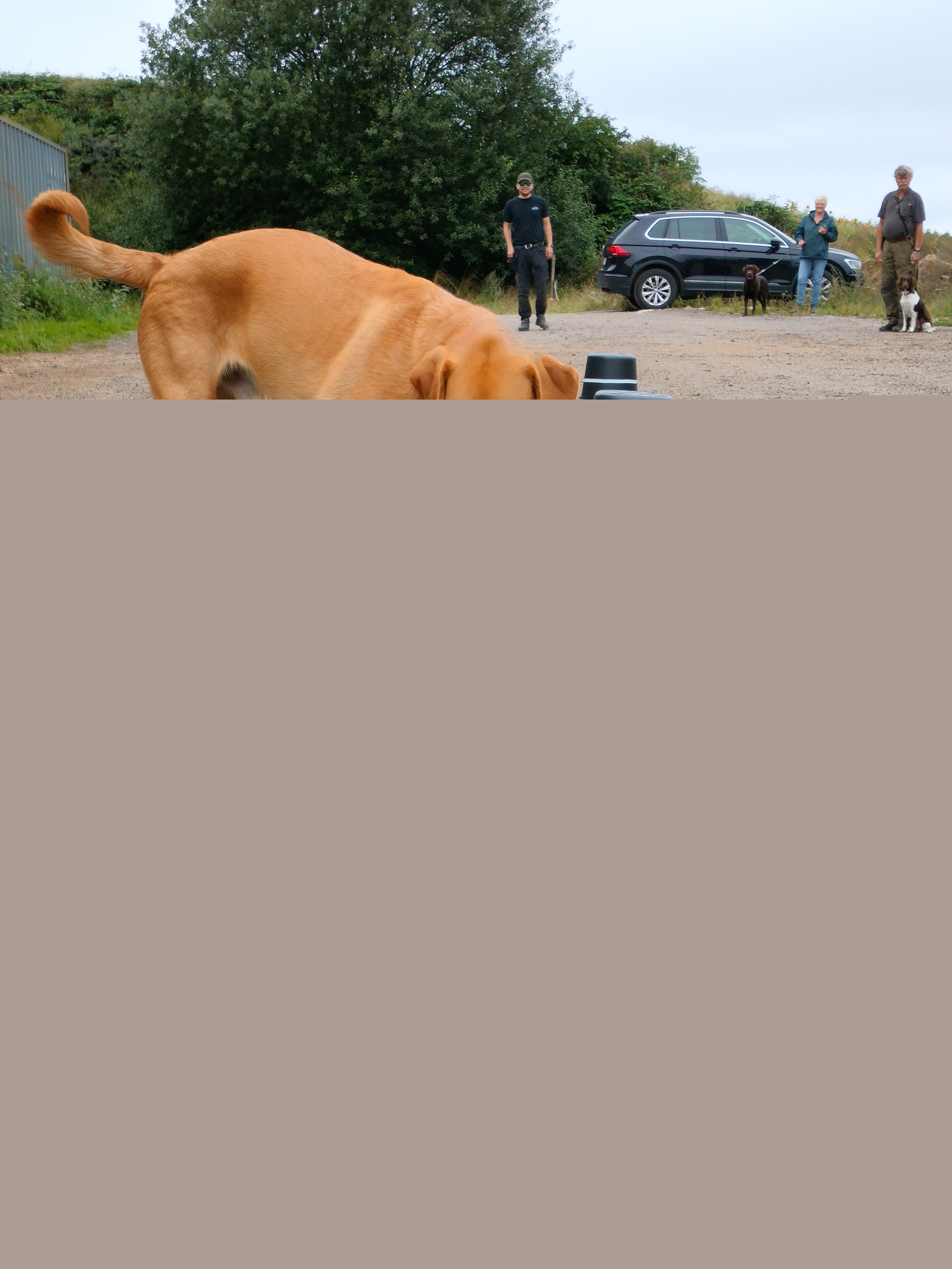 IMG20230820111332