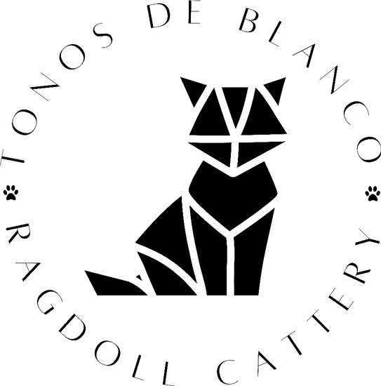 Afbeelding zonder ALT