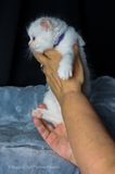 S*Raggedy Doll Kakzi