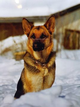 1995