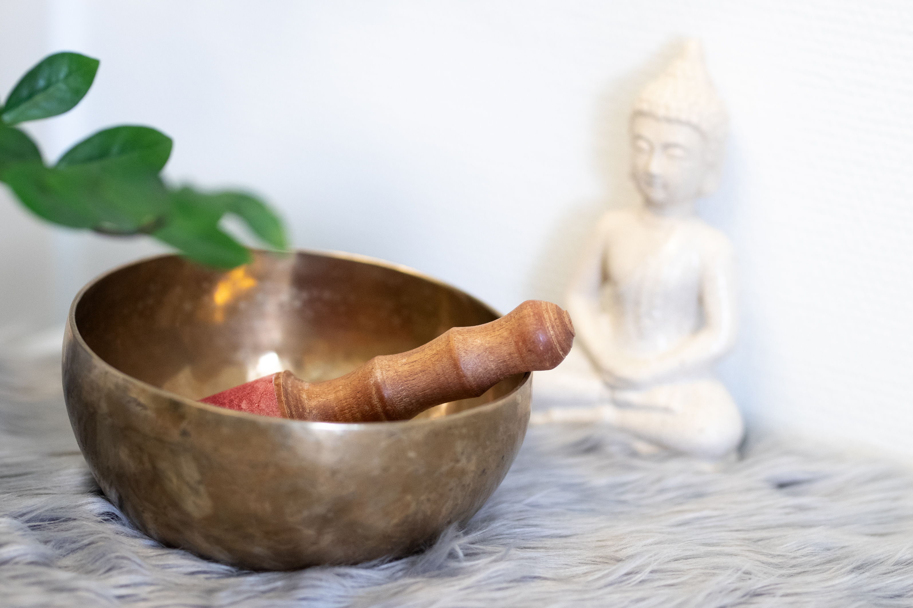 Skål og Buddhafigur på fårskind