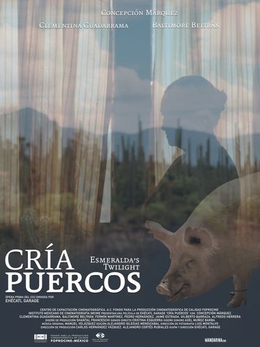 Cria Puercos