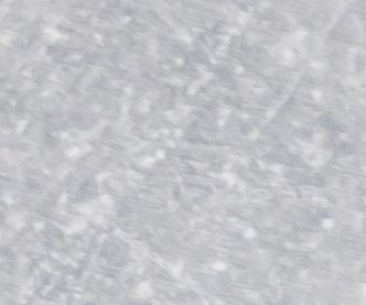 shutterstock_1906798297