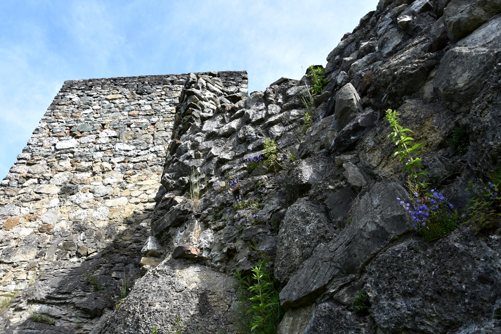 0_000eDSC_0726