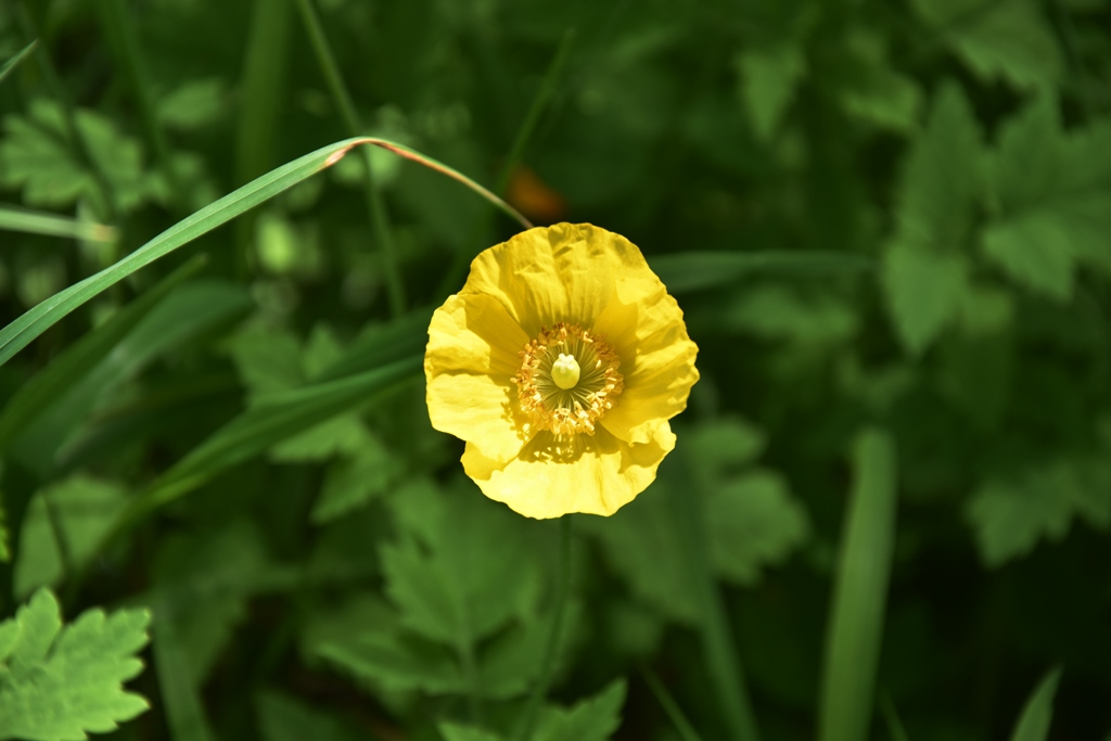 0_000eDSC_0840