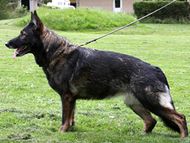 Rapports Debra_2008_08