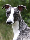 Sally2008_08_17_2406