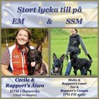 2016 EM och SSM