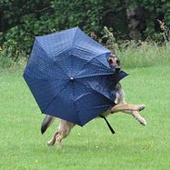 canis_paraply