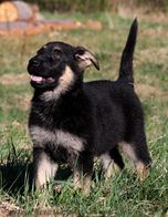 etik_140502