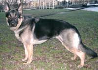 EntraPentra