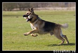 Frakk080405_2_02