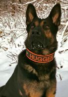 Hugger