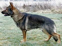hast091214