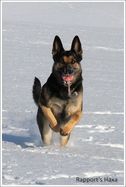 haxa_februari_2010_1