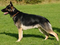 I-Orry_071006