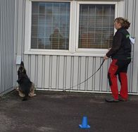 Ipse_nosework