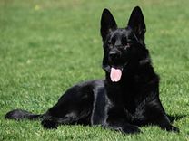 nero_090501_a