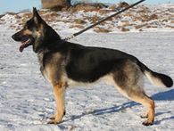 roffe_20110212