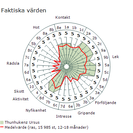 Ursus_spindel