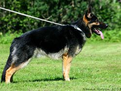 theodor_20110713.