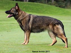 trassla_2011-10-02.8065
