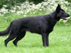 trixa_juli_2011_bywistedt