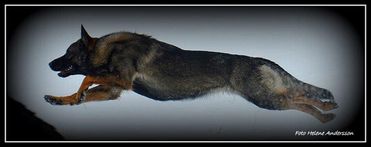 zaga_2013_01_20